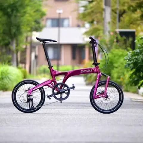 Birdy bike for deals sale